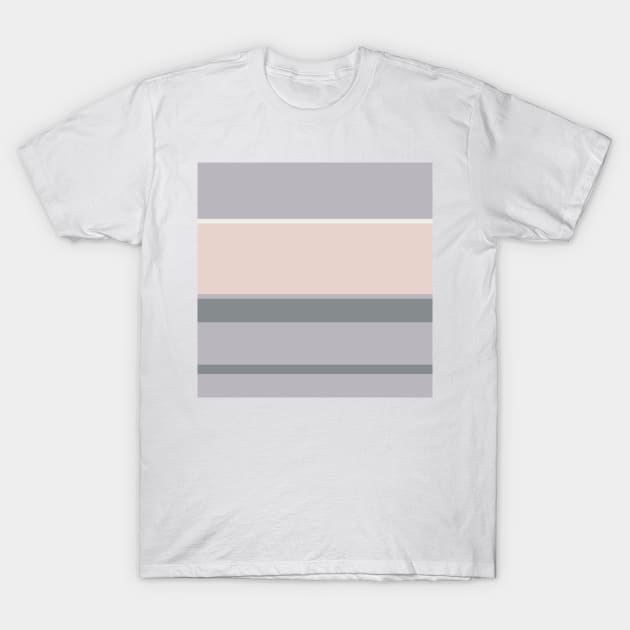 A single hybrid of Very Light Pink, Philippine Gray, Gray (X11 Gray) and Light Grey stripes. T-Shirt by Sociable Stripes